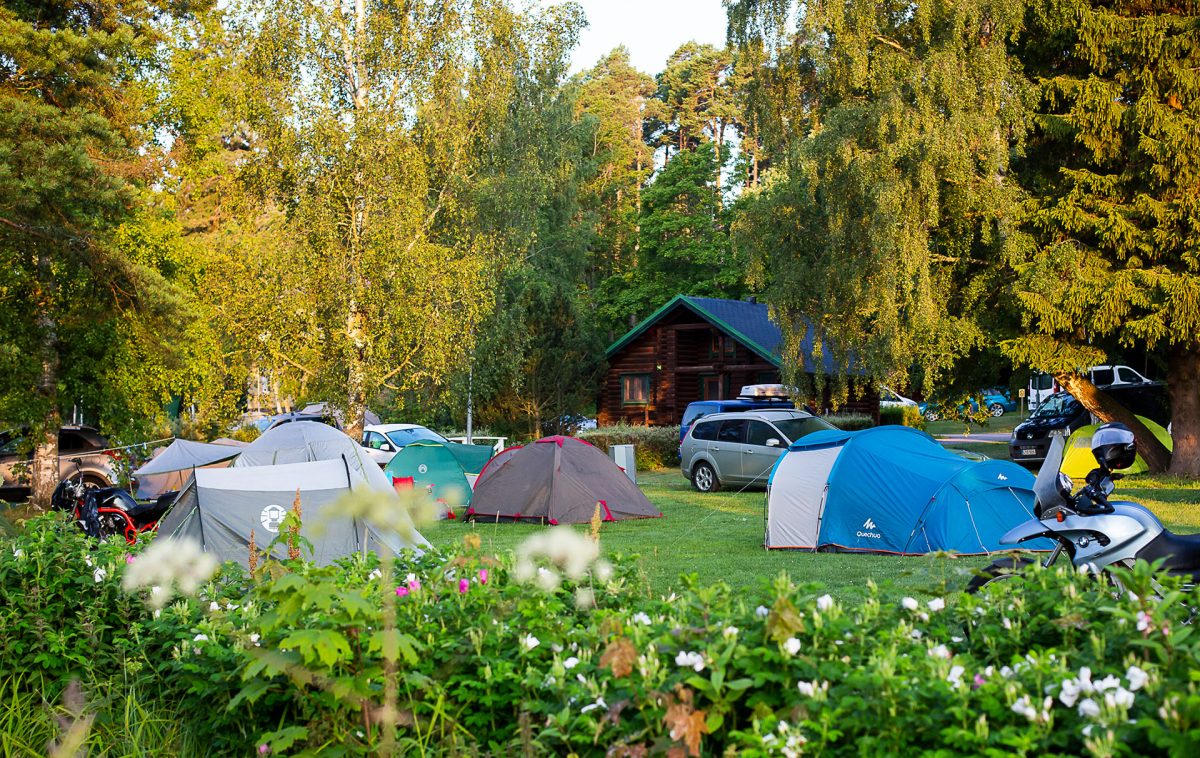 Tents on the grass in the foreground, trees, one cottage and cars in the background.