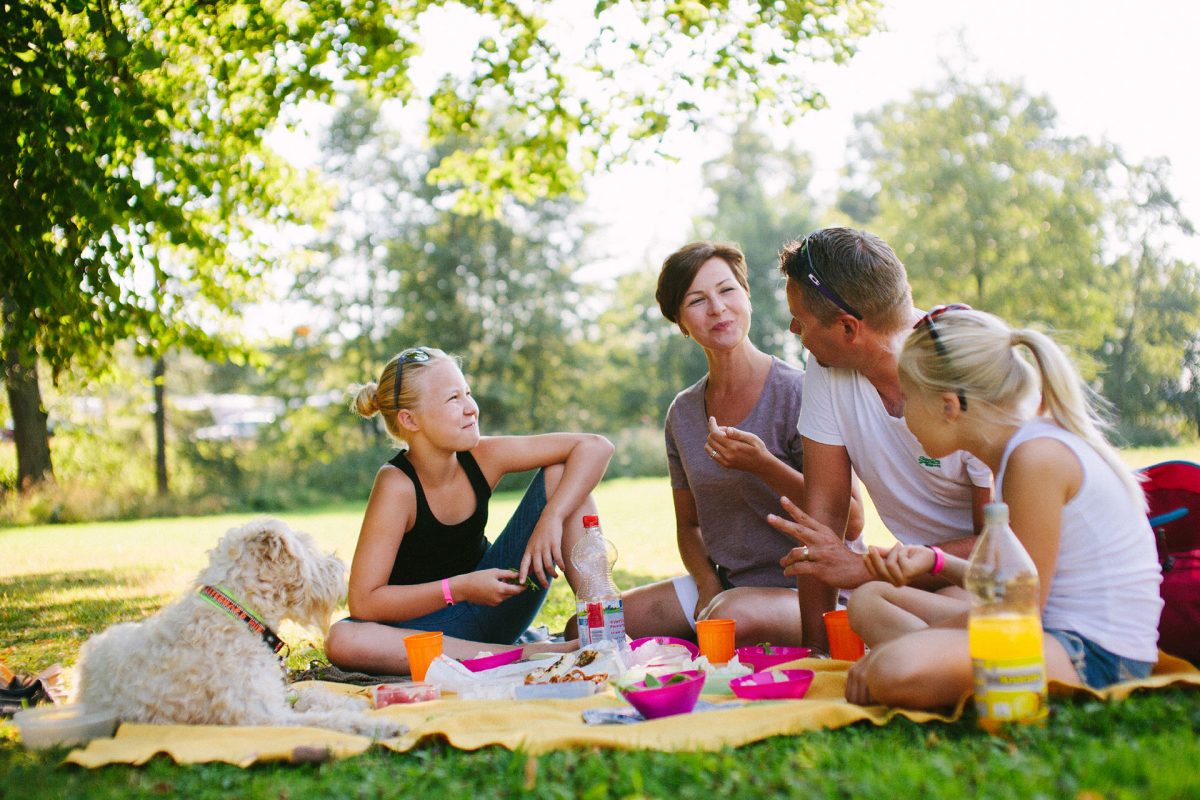 A family having a picnic on the grass field at the camping site.